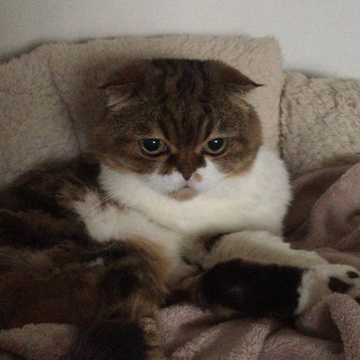 D6acf798 8360 4695 8257 56e6b76fd789