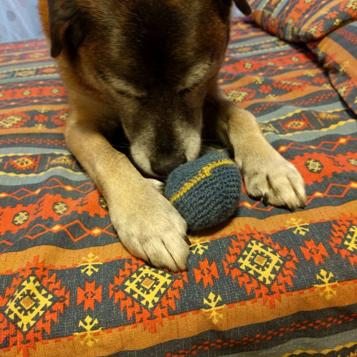 D6ad6c61 3128 4c52 8416 6e74d0450acc