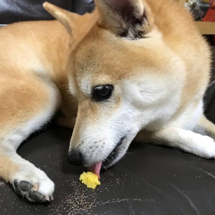 D6ad8cb9 05dd 4bdb 85c7 0f6e35893a15