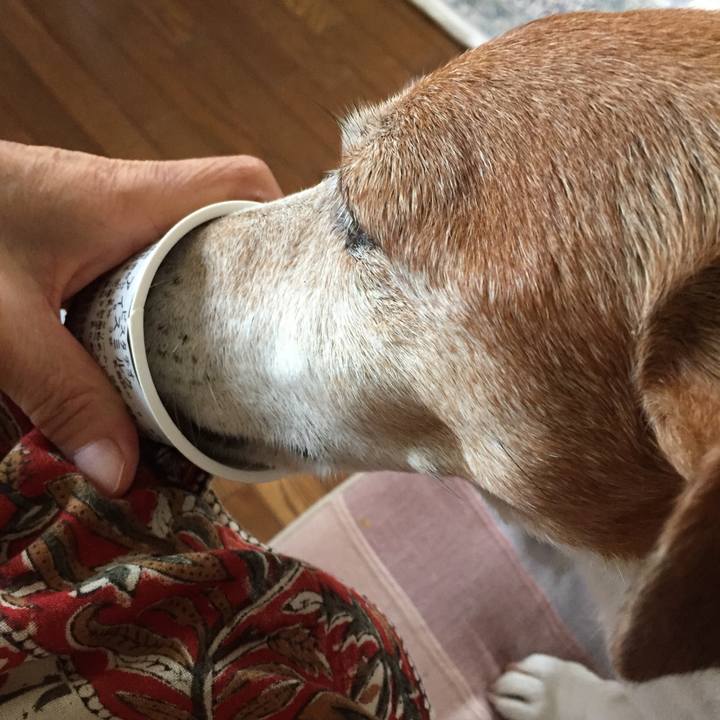 D6ae3589 ac33 4ff8 905d adaebca21908