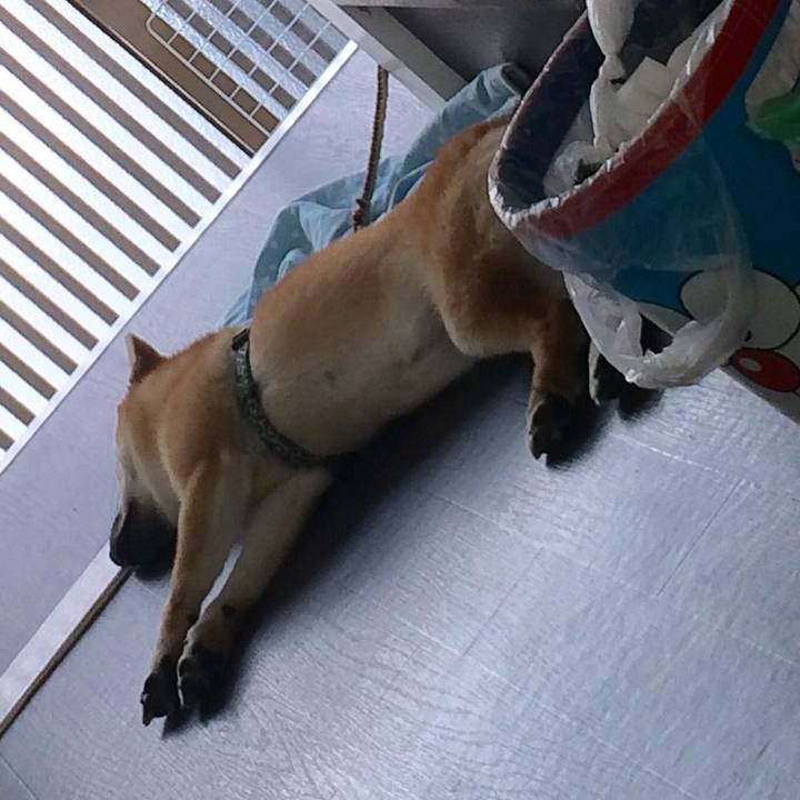 D6ae875b f19d 447d bebc 6c515651e809