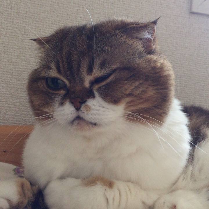 D6af3588 00b5 40cc 9d03 e6508cce2116