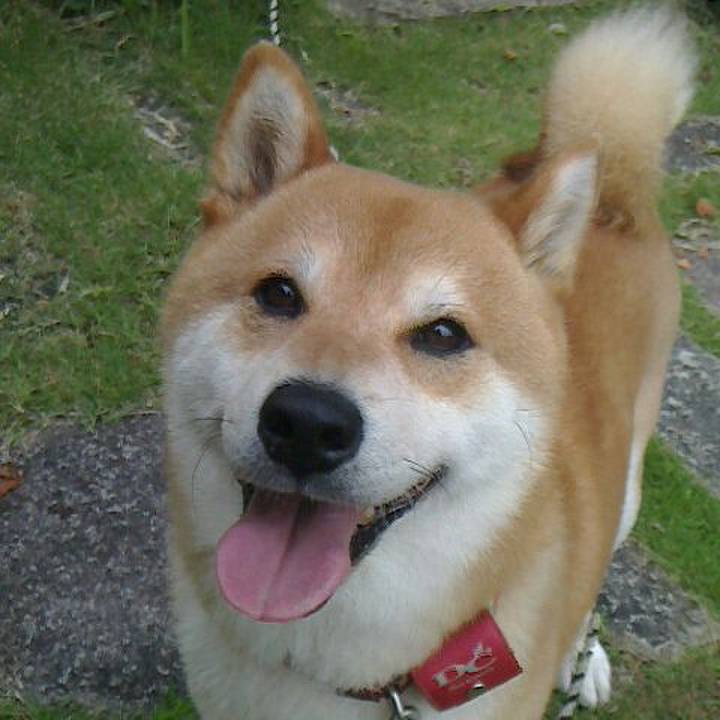 D6afd946 e770 490a bd7d 7f33d6d9df0a