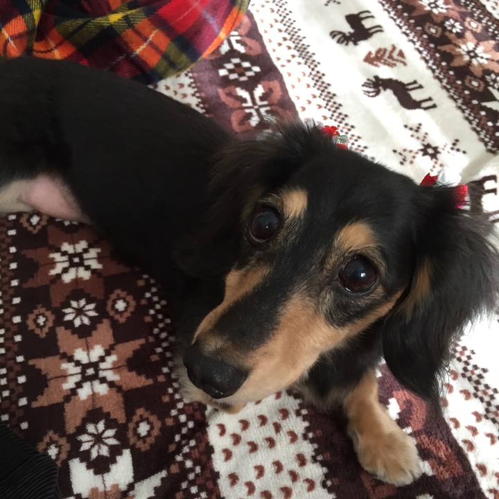 D6b0e2d3 7491 4023 b44e 897055f4aa8b