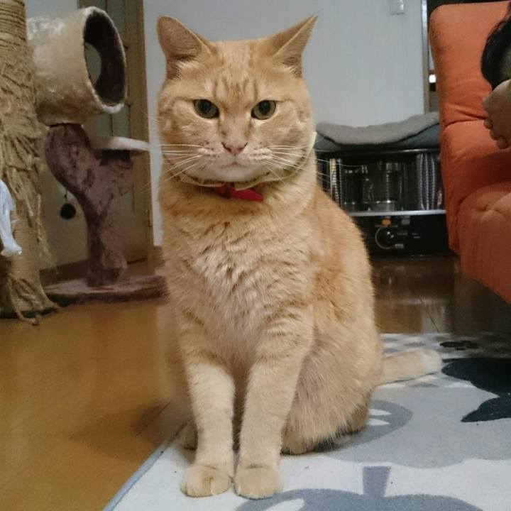 D6b194c3 e4ef 40ae b041 d7dac5b10069