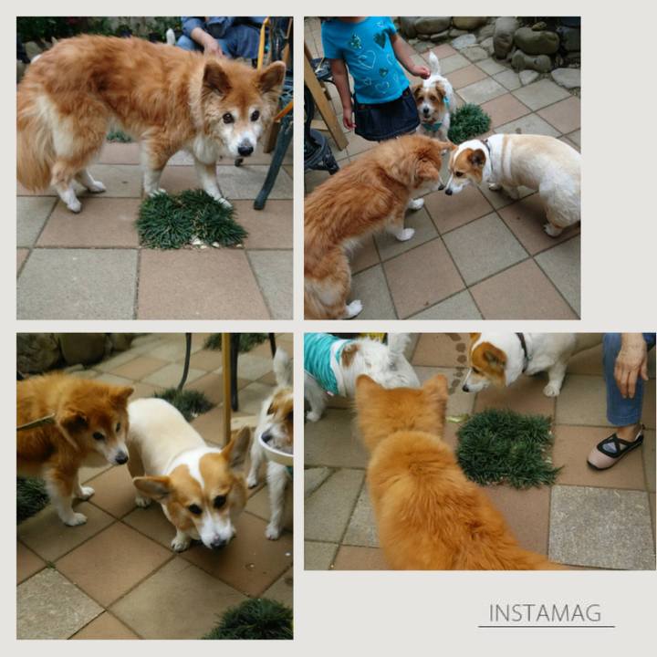 D6b2348d 9901 43db b374 a1bd864d9620