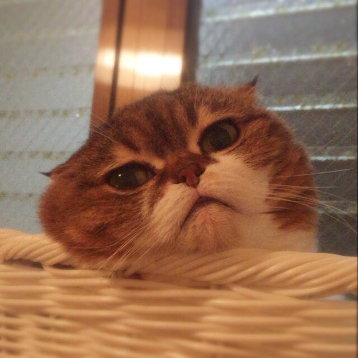 D6b2503f ea1b 4d51 8637 b20041381476