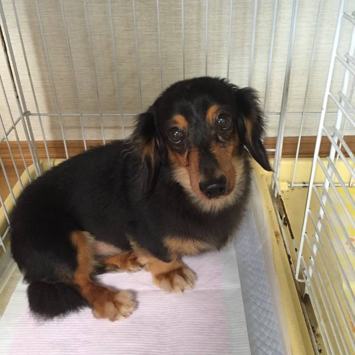 D6b26f27 9612 4e0e a51b b3f7cf541796