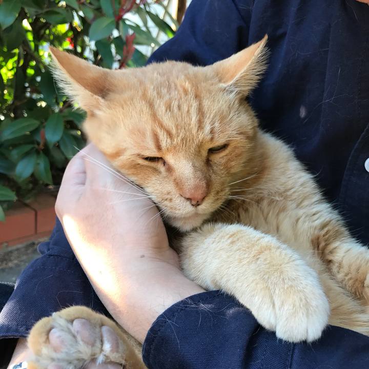 D6b2b4e4 14cd 4496 976a 04b065c896c3