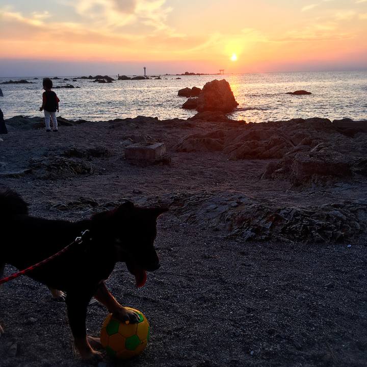 D6b3897b e220 4b53 b40c 081909f1be2a