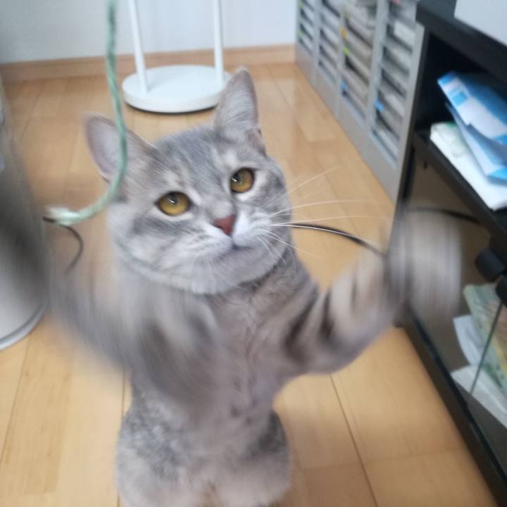 D6b39b3a e832 40ea a593 1d4f92cfd278