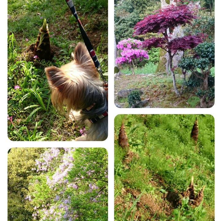 D6b39c50 b15d 4f3f badd daf5a92ae23d