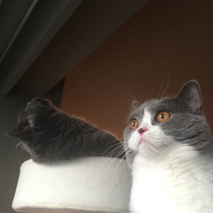 D6b3ad69 6e06 4cce 997e fb8a9629b13a