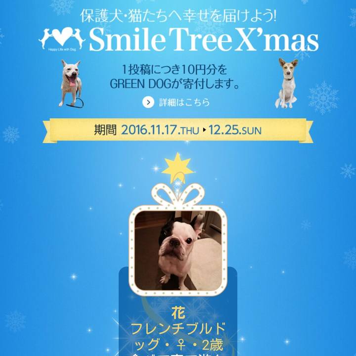 D6b4050a 52f8 483e 8909 6b347c356fce