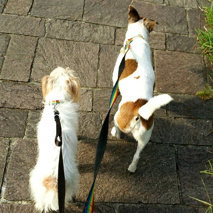 D6b4237e ad0f 422c 8e5f 36d1e9cdae50