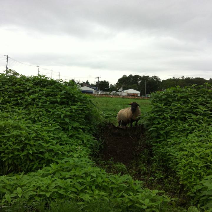 D6b472be 6a99 4f4d b1e8 9ad4206cbd88