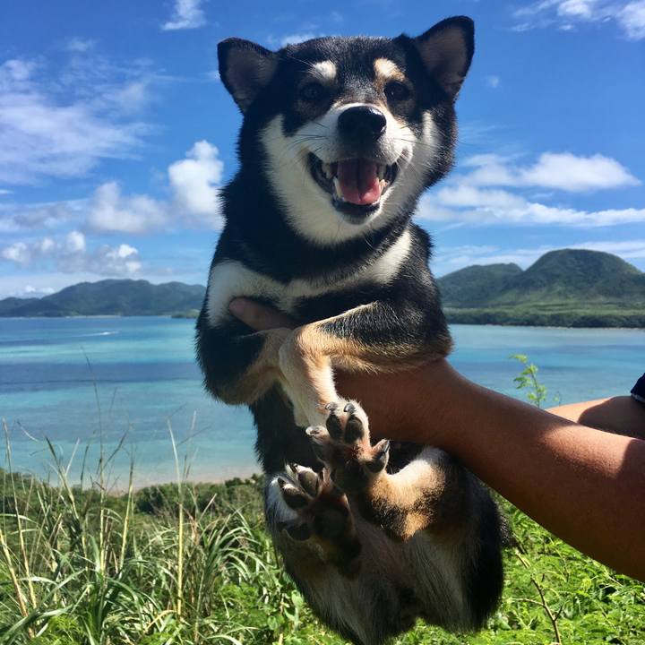 D6b4d4a7 c40e 409a b4be d8df3cfc1e57