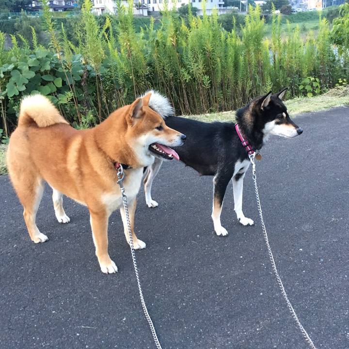 D6b5f2d8 d9c6 47d7 8022 b454253a1669