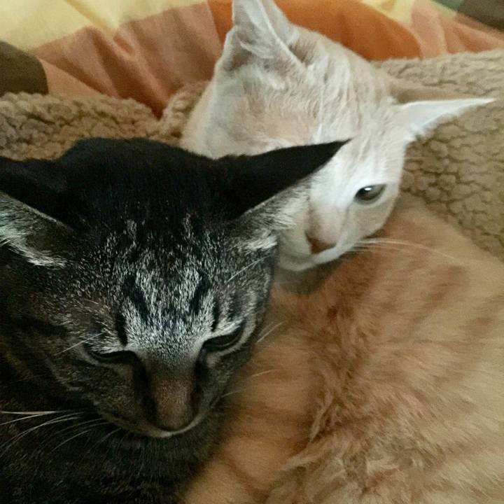 D6b626f2 fc90 47b6 809e 98d3b7190c6f