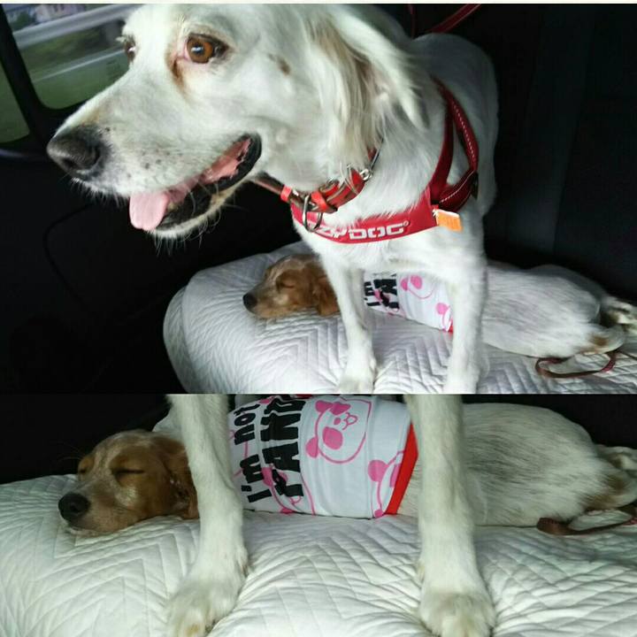 D6b70dbf b543 455a bf8f 3fad48f64c73