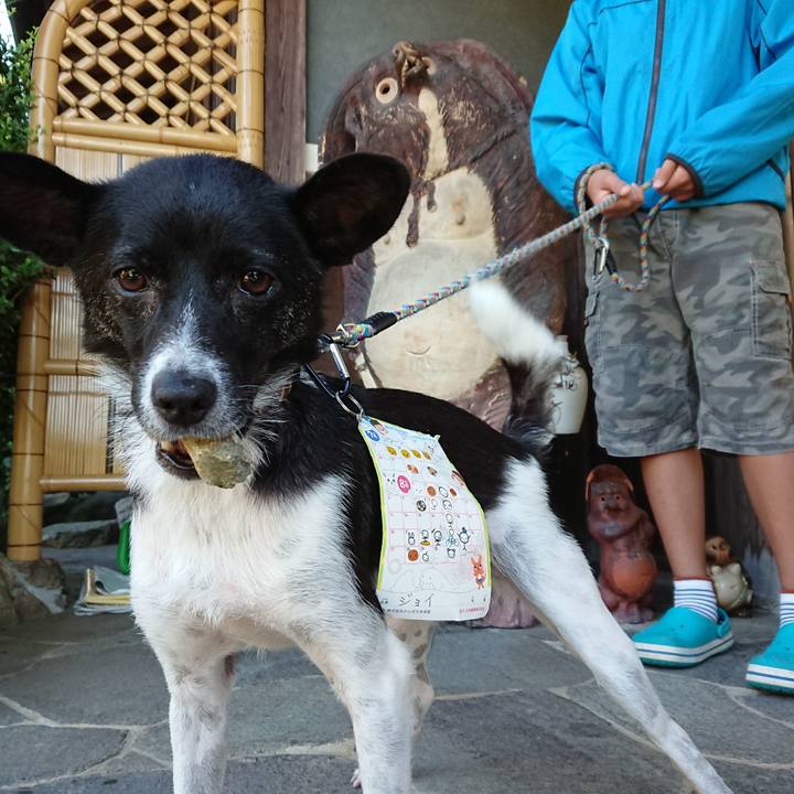 D6b746b9 f3b7 42d0 8aff aae27c31419a