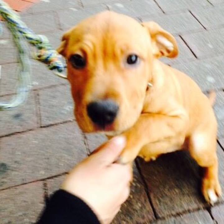 D6b7628f 3313 4642 b3df 6337dbc5e22c