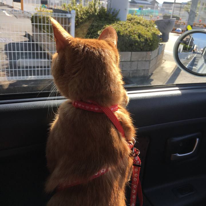 D6b7ddd2 49cf 48de 98a7 76ecf0fff257