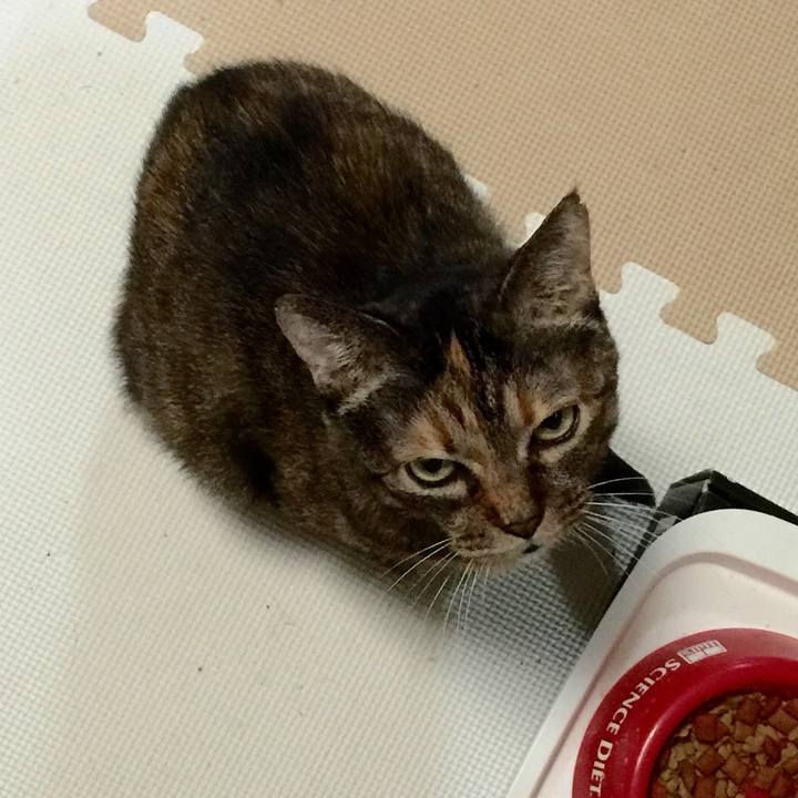 D6b8288a 75d4 4dd5 bba8 de5f23b6df8f