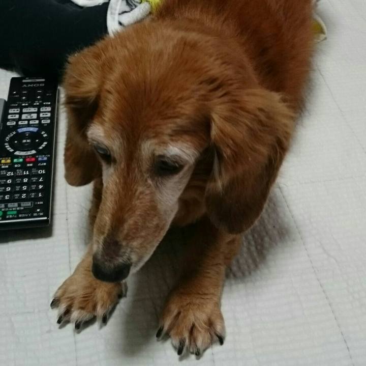 D6b888ed d936 4ba8 9a23 9e64dabf98fb