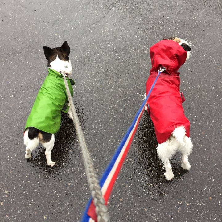 D6b8ff14 029e 4744 ae23 6d1865ea8923