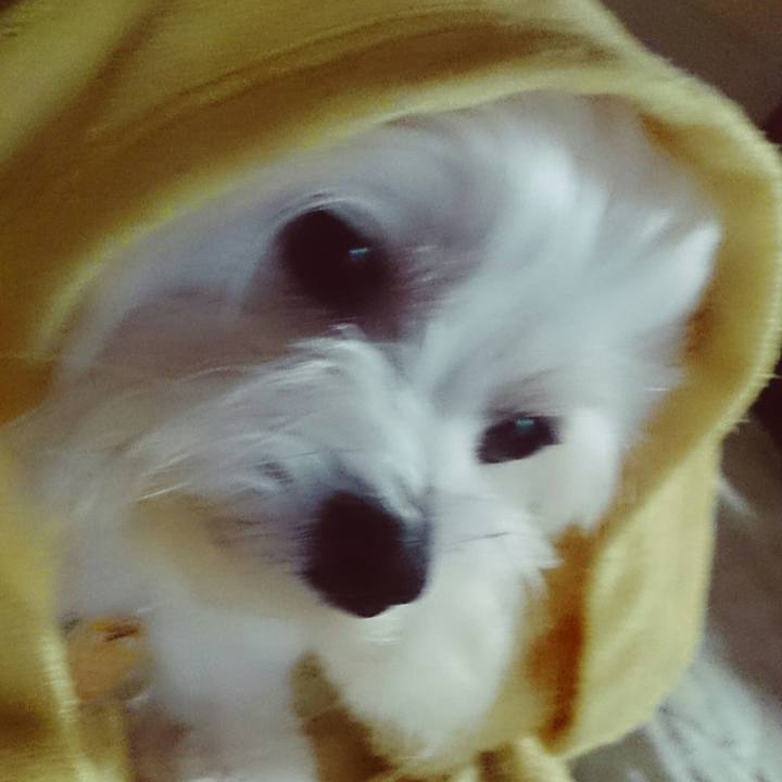 D6b98dde 3ba7 4134 8af3 3c9520cb4732