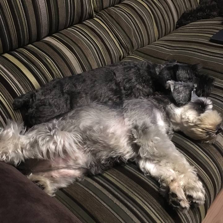 D6b9e0d9 98b7 4e66 9351 c710e17db55d