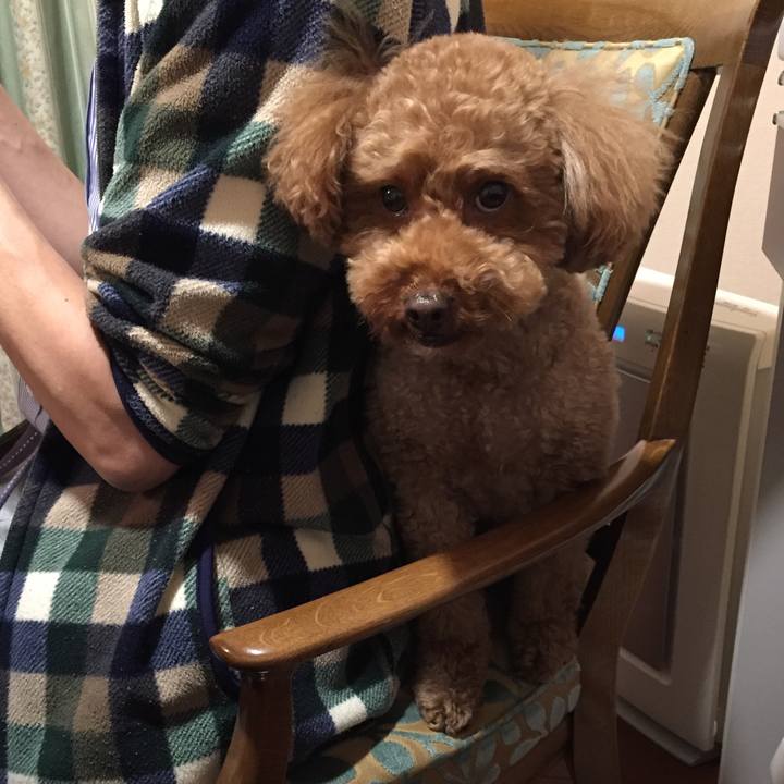 D6ba18a7 1ce4 40d9 85e5 b2198442f8b0