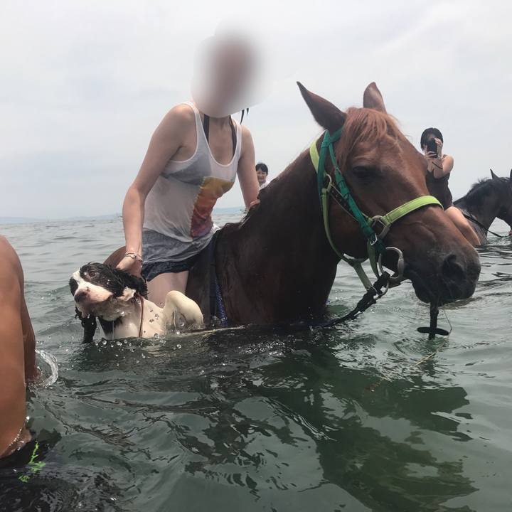 D6ba317f 37df 4af3 8a58 2c0dcea93fe2