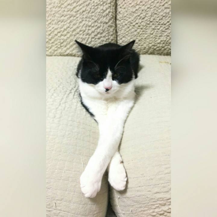 D6baa269 4403 4a18 b3f1 887be98d1a7d