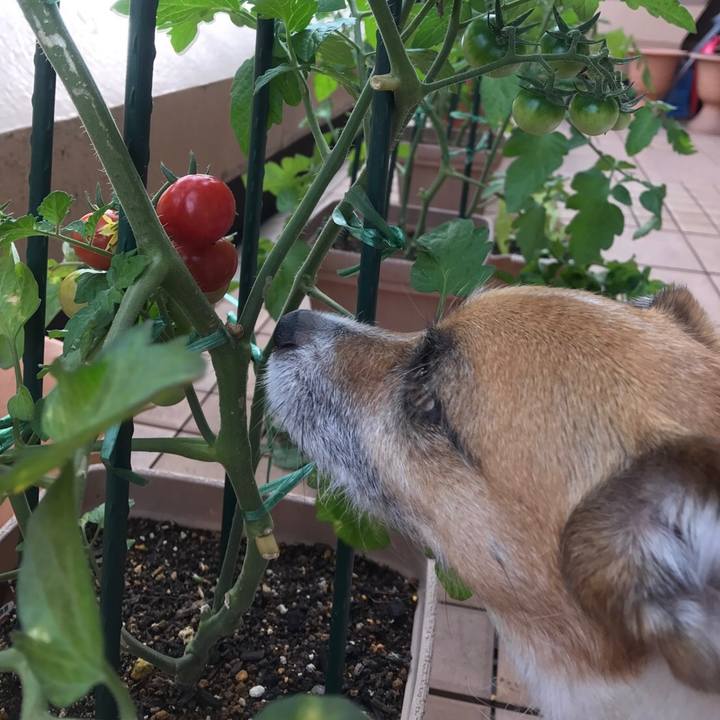 D6baadd6 ba00 4410 86a3 15012a37a46a