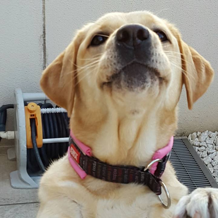 D6bae9bb 5324 4786 80e9 e4f2c72b836b