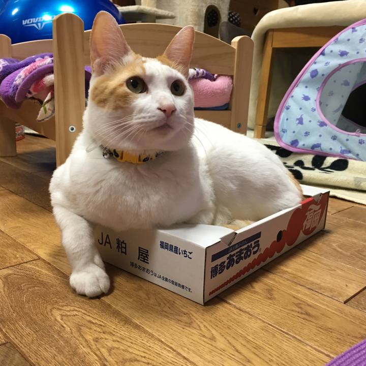 D6bb1d13 d85d 4060 9a84 6cfaea5bdf78