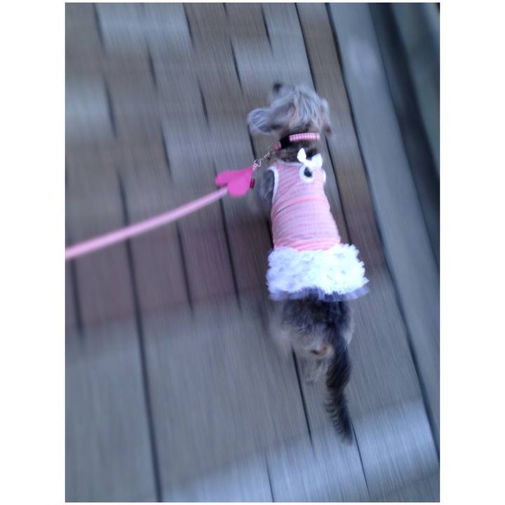 D6bb1ee3 2ce6 4bbe 9778 d8e0d84dd5ab