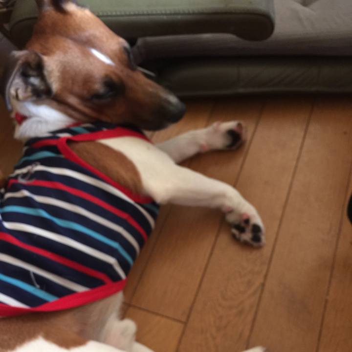 D6bb7fce 2999 4e4c 8d15 8bd2ea911d48