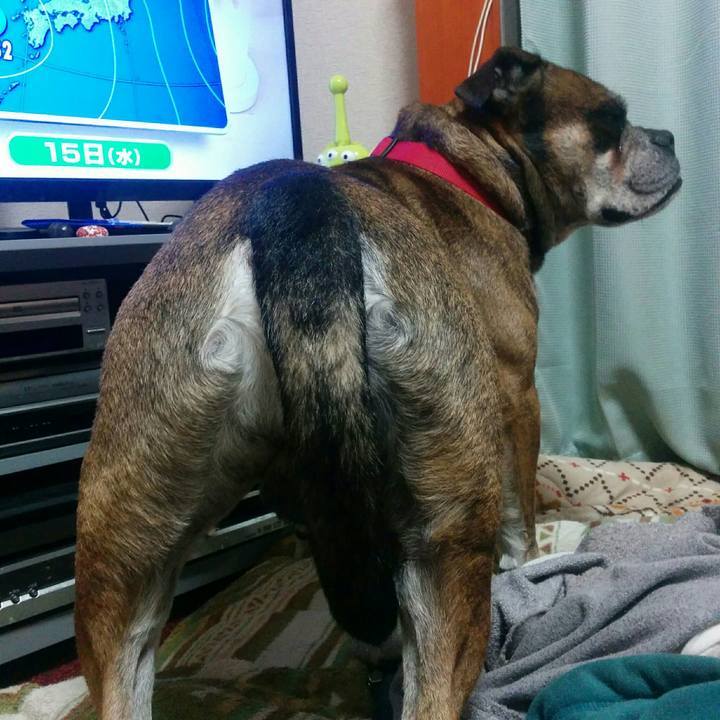 D6bb80bf 5cfa 4496 a381 e5eabe7f5b1e