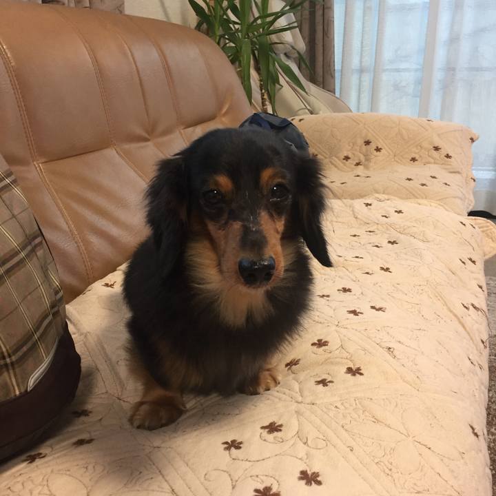 D6bbafa4 bf19 47c8 9d9f a533e3f885a4