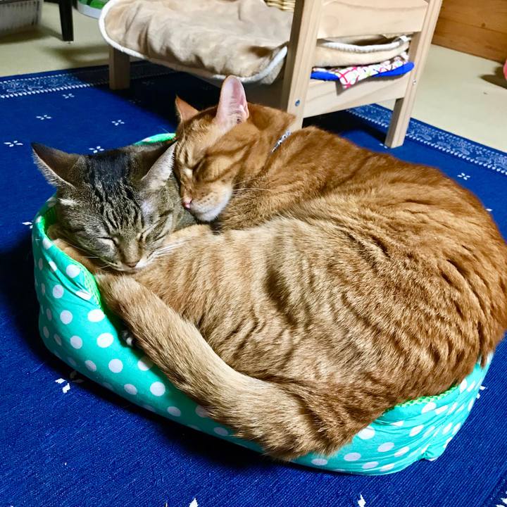 D6bbb314 30f6 4c15 88fb d0ae190bd29e