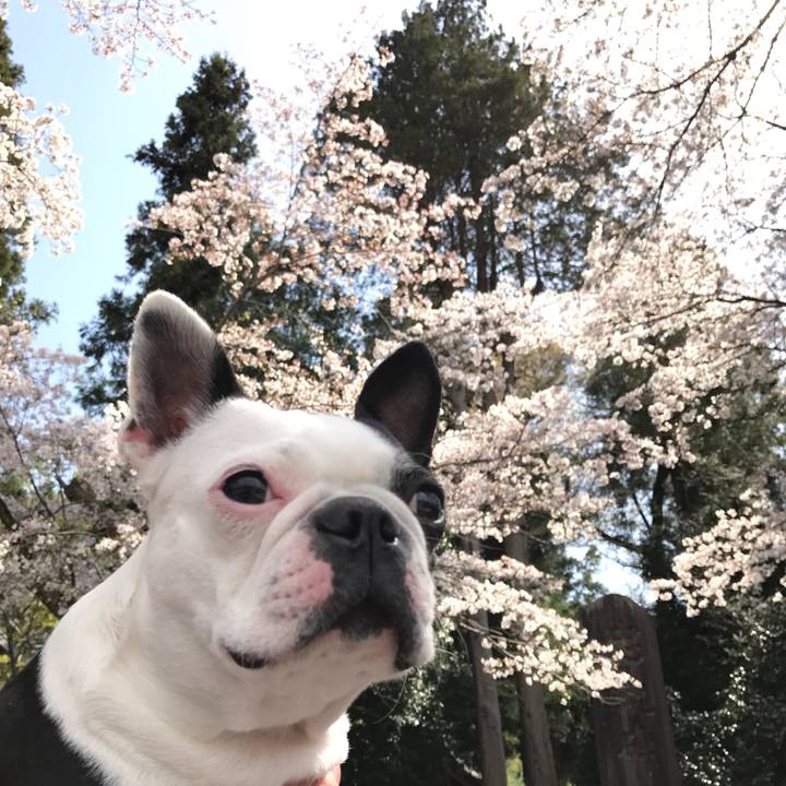 D6bbb9f9 523c 4ff2 8686 17c8a73ce6fc