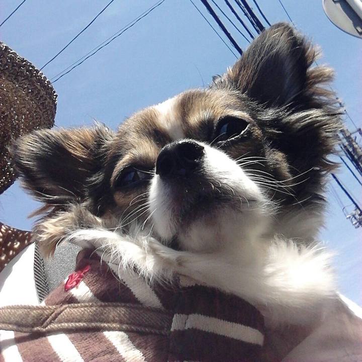 D6bbc158 644c 439c aad4 e2094e418cc0