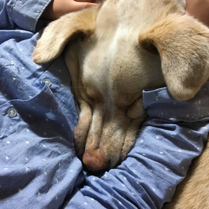 D6bc2cac b773 433c a204 bbfcd61b2827