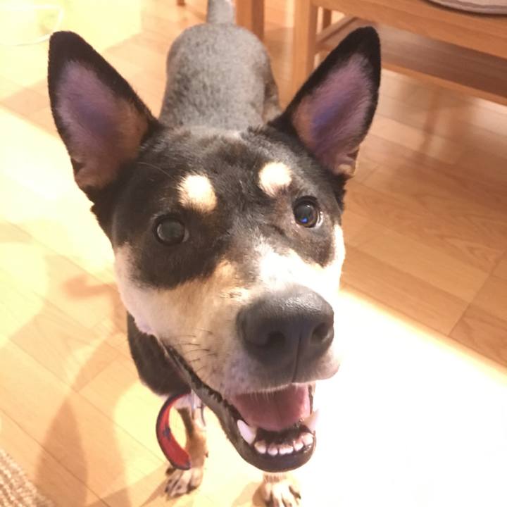 D6bc6dca 6be5 4ad8 a42a a45452a13696