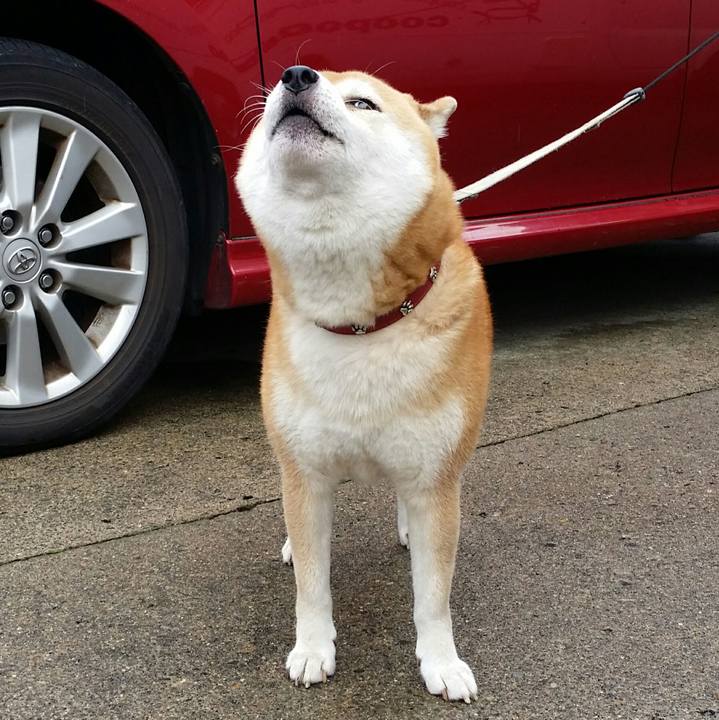 D6bc78ae d55b 492f bd12 76d1a6ab5301