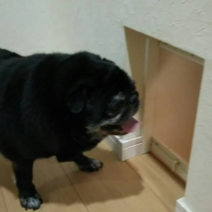 D6bcb98d b35a 49e9 85d8 0df880127cdc