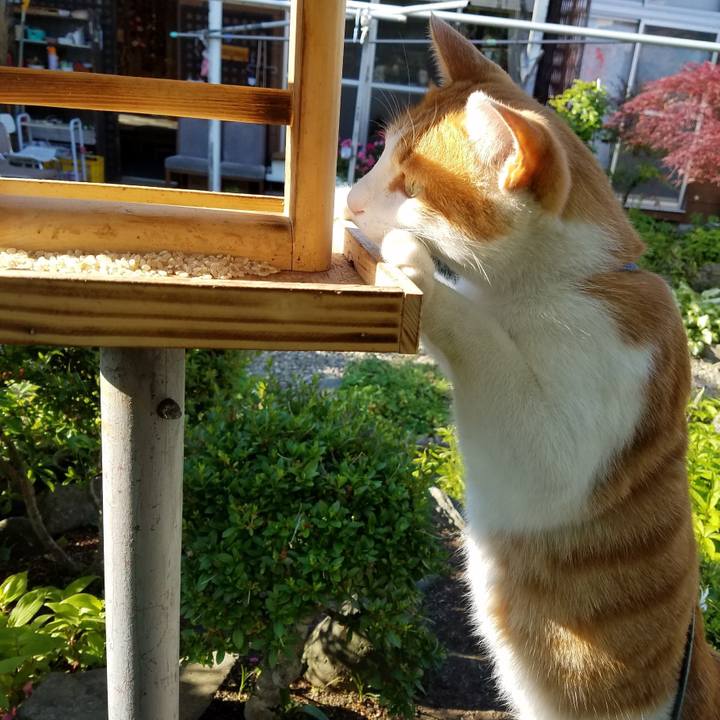 D6bd0f1a 4f2d 41b4 a0ea 8138232b1c2f